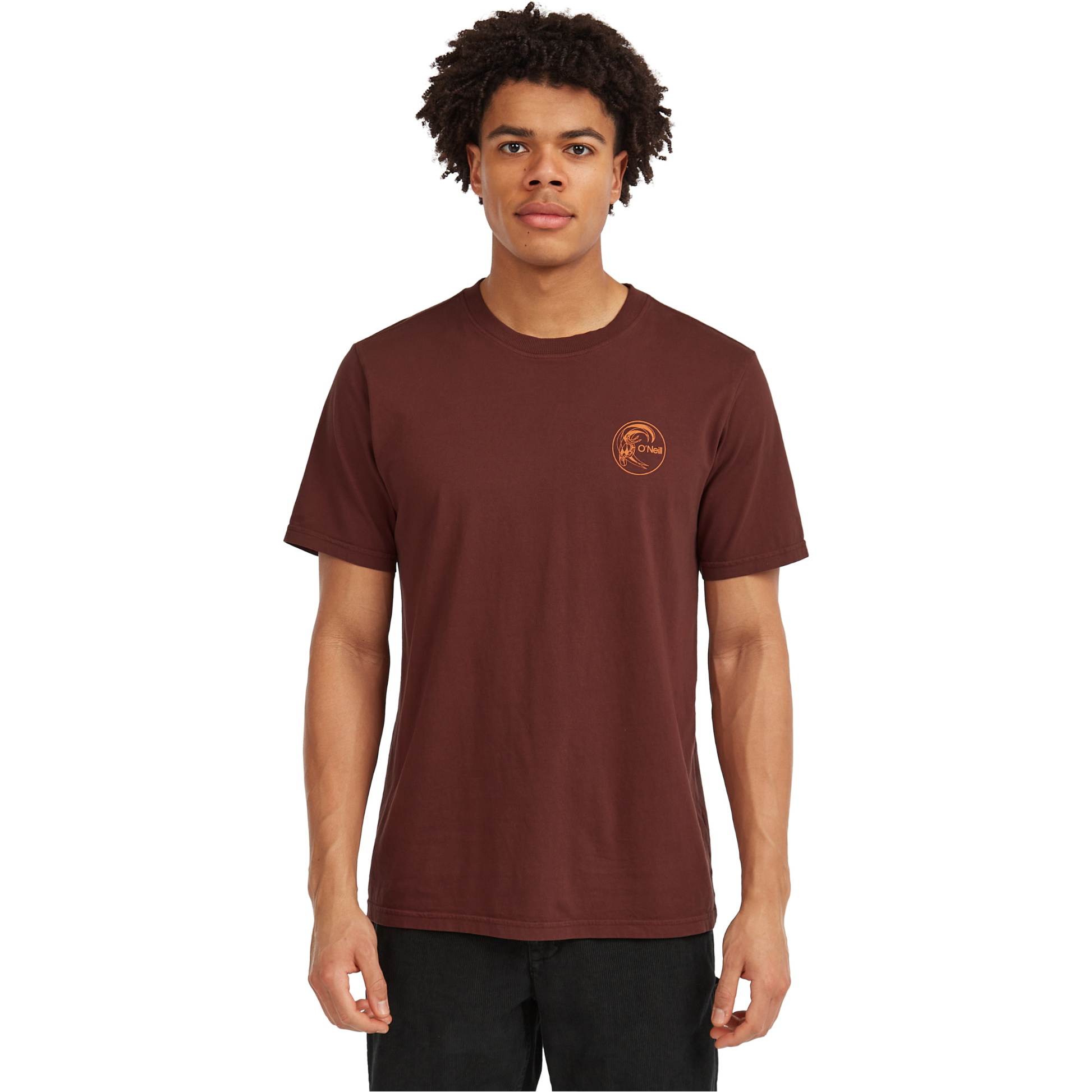2025 O'Neill Camisola O'Riginals Retro Back Print Para Homem 2850316 - Hazel Spice